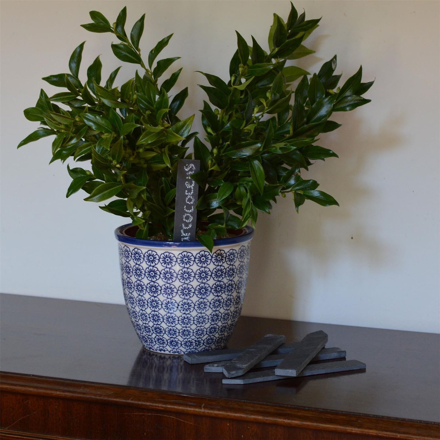 2cm x 15.5cm Slate Plant Markers - Pack of Six