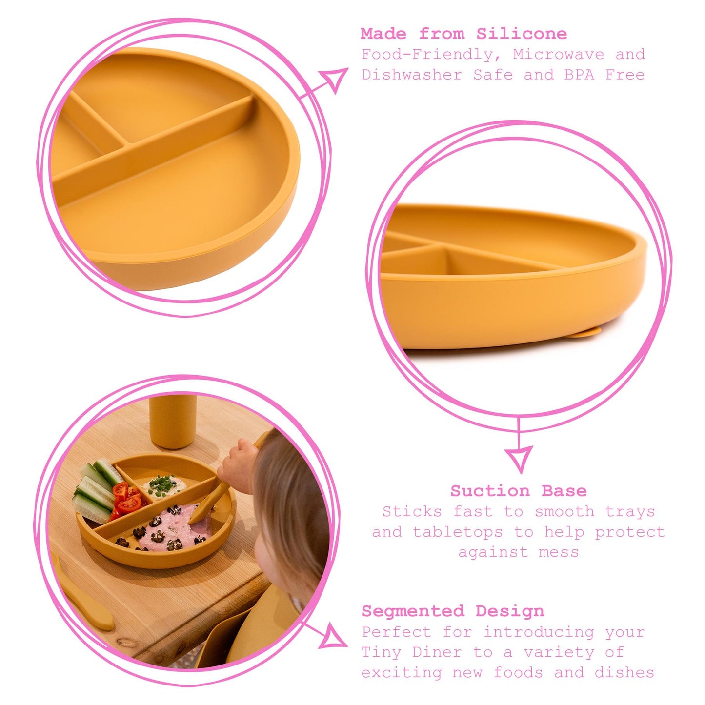 Silicone Divided Baby Suction Plate